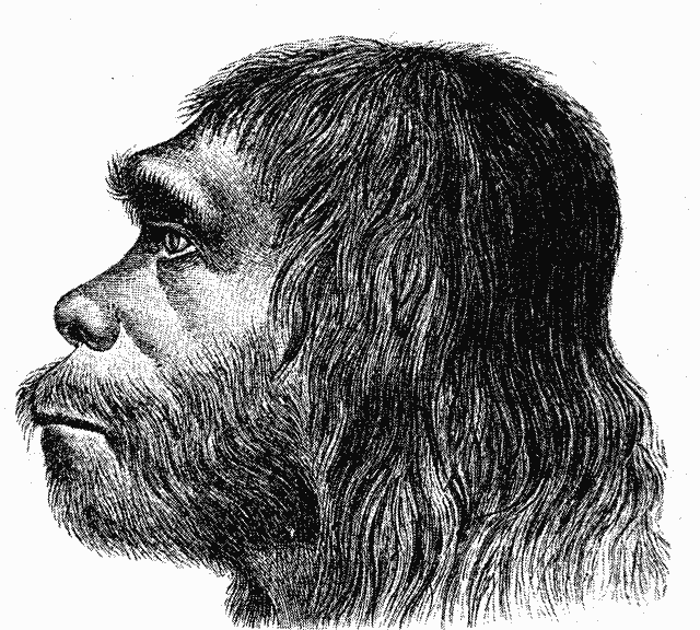 Neanderthaler Fund.png