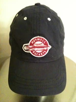 Roswell+Rockets+Dugout-1-