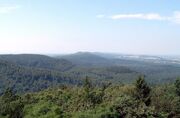 Teutobergwald View