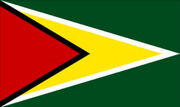 Flag-of-guyana.jpg