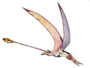 Rhamphorhynchus