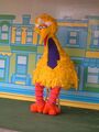 BigBird