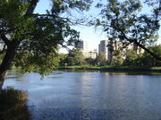 Loring park-1-.jpg