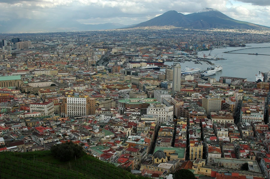 Naples Turtledove Fandom