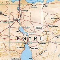 Suez Canal Turtledove Fandom