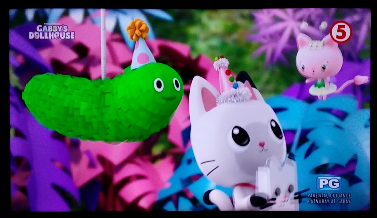 june-14-2024-tv5-schedule-archives-wiki-fandom