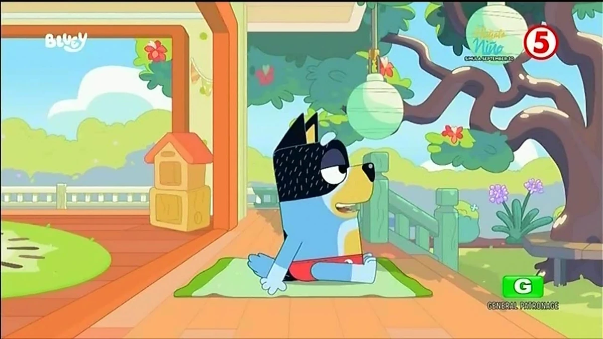 september-13-2024-tv5-schedule-archives-wiki-fandom