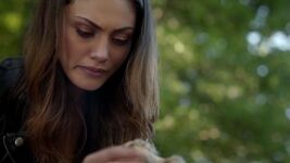 Normal TheOriginals201-0174