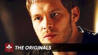 The Originals - Parents Trailer