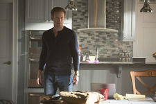 TVD717-Alaric