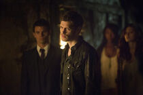 The-Originals-Klaus-Mikaelson-klaus-35627985-800-533