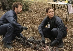 Bones 7x10 001