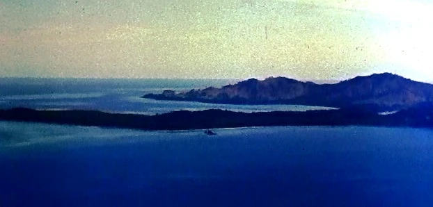 Paradise Island | TV Database Wiki | Fandom