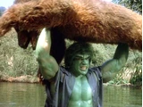 Incredible Hulk: Death in the Family