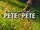 Adventures of Pete & Pete: New Year's Pete