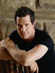 Dylan Walsh - IMDb