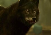 Hemlock Grove 1x02 017