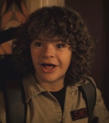 Dustin Henderson, Stranger Things Wiki