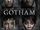 Gotham: The Complete First Season/DVD