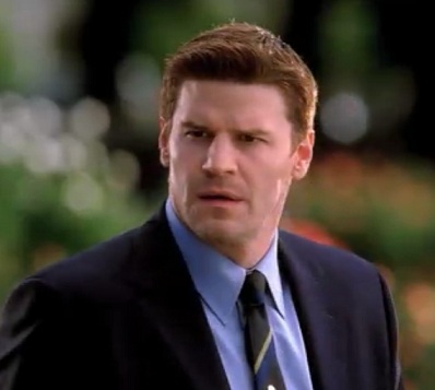 Seeley Booth, TV Database Wiki