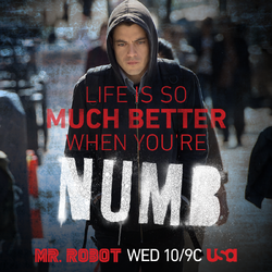 What time will Mr. Robot season 2 be on  Video?