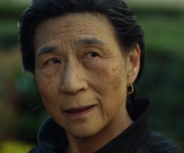 Madame Gao TV Database Wiki Fandom