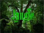 Bumper: Jungle, used from January 1, 1990 to 1999.