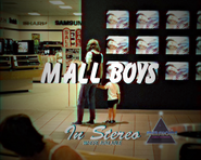 Screen-bug seen on an episode of Mall Boys.