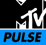 MTV Pulse (January 2014)