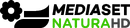 HD logo (2016 to present)