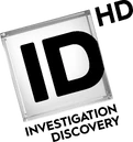 HD logo (2017 to 2020)