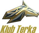 Current logo (2020 to present)