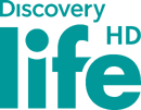 Discovery Life HD (2019-.n.v.).png (56 KB) HD logo (2019 to present)