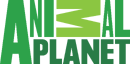 Animal Planet (2011-2014).png (68 KB) Fifth logo (2011 to 2015)