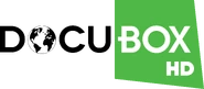 HD logo (2013 to present)