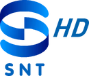 HD logo (2016 to 2017)