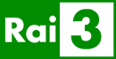 Sixth logo (2010-2016)