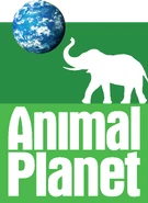 Third logo (June 26, 2006 - February 11, 2008)