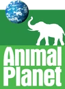 Animal Planet (2006-2008).png (789 KB) Third logo (2006 to 2010)