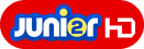 HD logo (2016 to 2017)