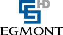 HD logo (2009 to 2010)