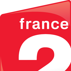 France 2 Mihsign Vision Fandom