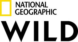National Geographic Wild (2019-.n.v.)