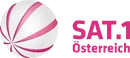 Fifth logo (2009-2011)