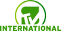STV International (2006-2011)