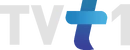 Sixth logo (2008 to 2014)