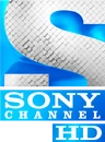 HD logo (2018 to 2021)