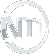 Second logo (23th August 2008 to 3rd September 2012)