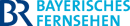 Fifth logo (2007-2016)