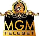 First logo (2000 to 2007)